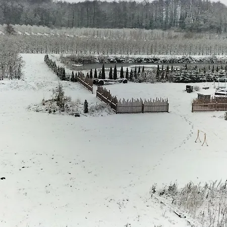 Daire Zdrowo Przez Sad *