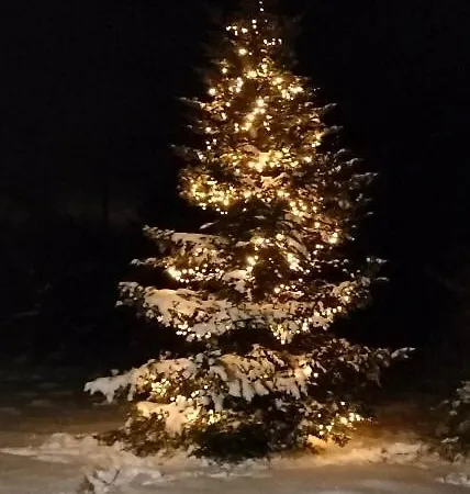 Daire Zdrowo Przez Sad Brzezinki (Grojec)