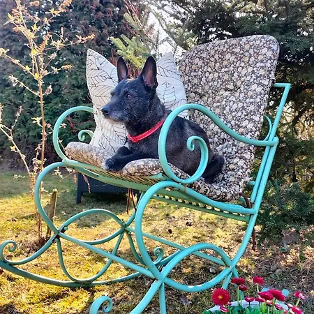 Zdrowo Przez Sad * Brzezinki (Grojec)