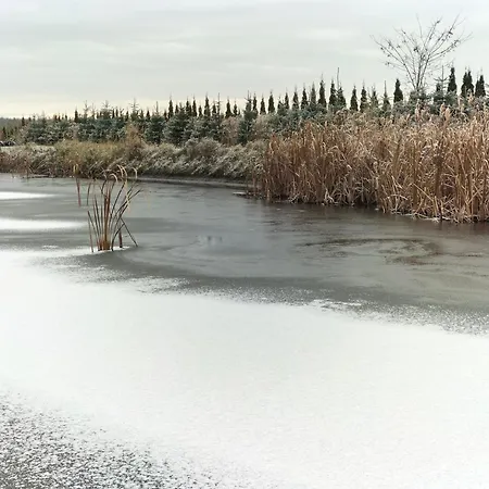 Zdrowo Przez Sad Daire