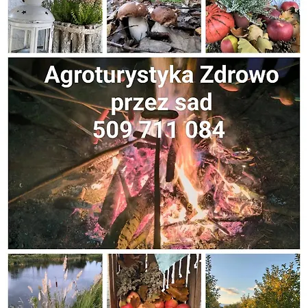 Daire Zdrowo Przez Sad *