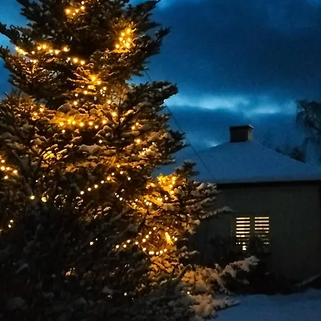 Zdrowo Przez Sad Daire *