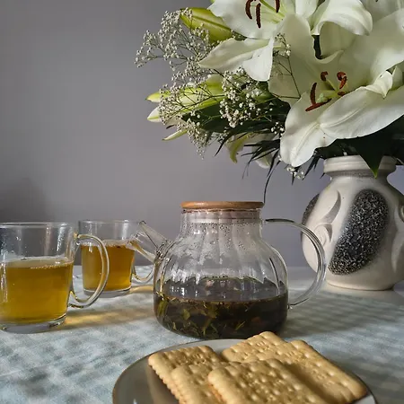 Zdrowo Przez Sad Apartman Brzezinki (Grojec)