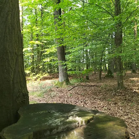 Zdrowo Przez Sad Apartman Brzezinki (Grojec)