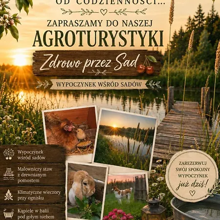 Apartman Zdrowo Przez Sad Brzezinki (Grojec)
