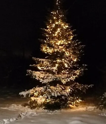 Διαμέρισμα Zdrowo Przez Sad Brzezinki (Grojec)