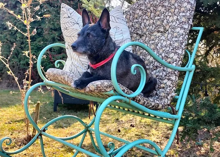 Zdrowo Przez Sad * Brzezinki (Grojec)