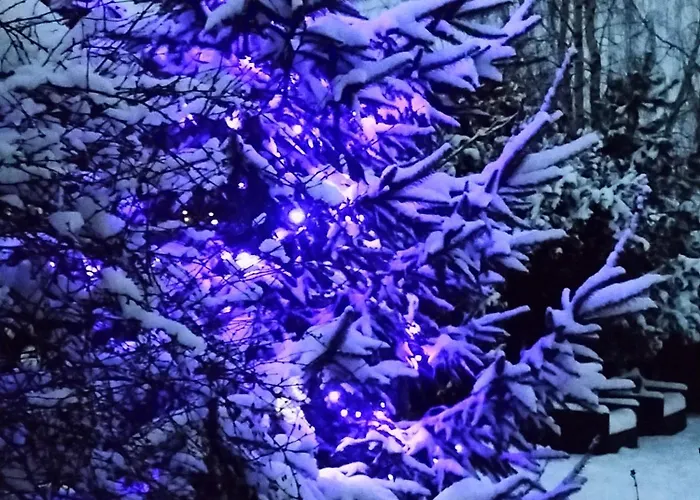 Zdrowo Przez Sad Brzezinki (Grojec)