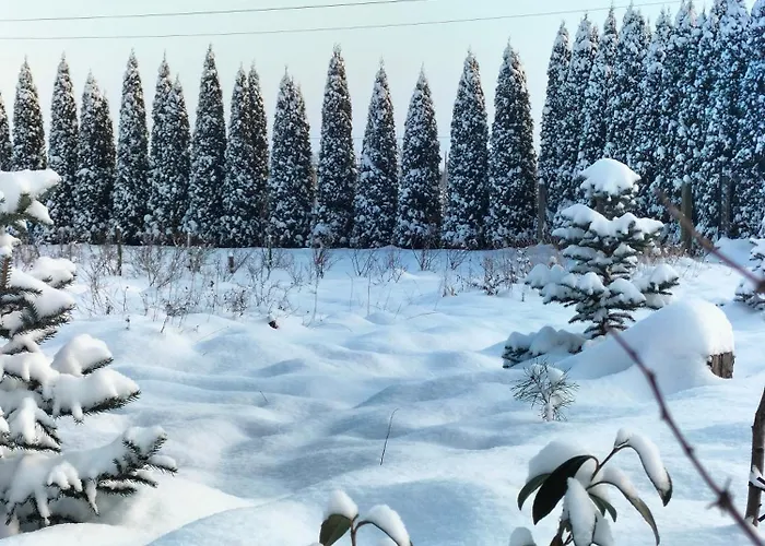 Апартаменты Zdrowo Przez Sad